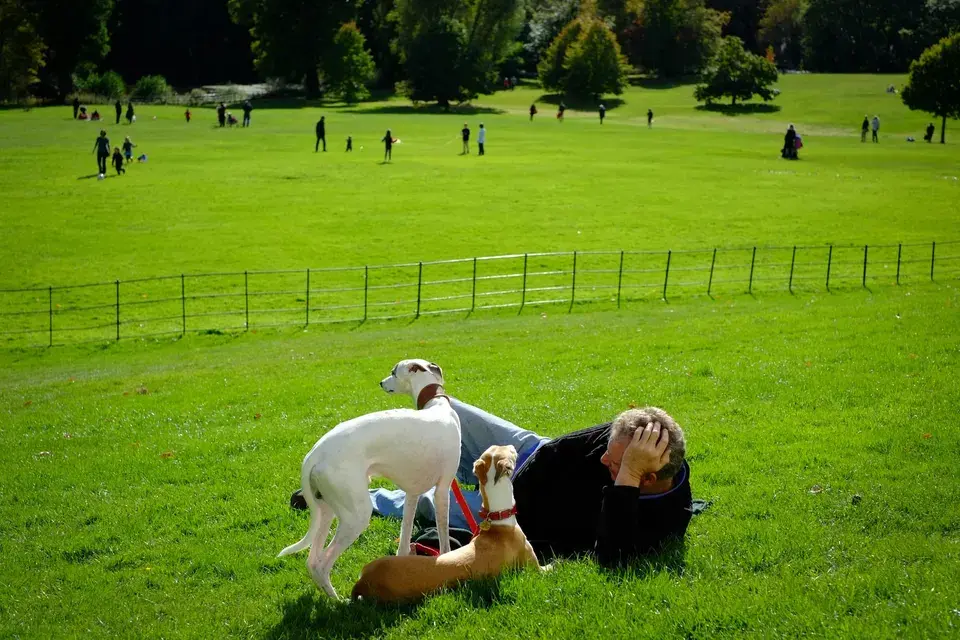 mold removal Duncanville